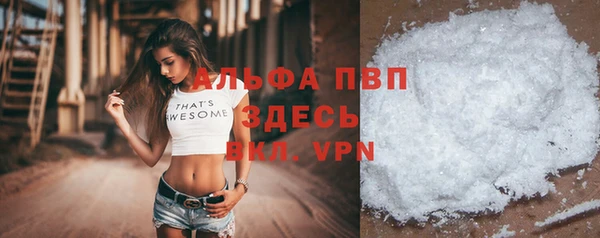 хмурый Магас