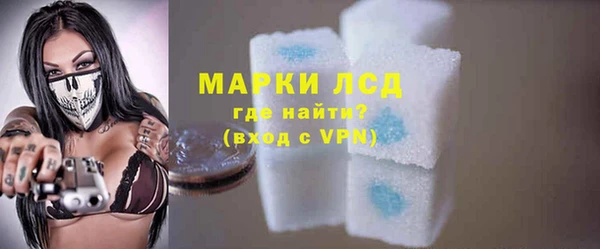 хмурый Магас