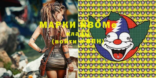хмурый Магас