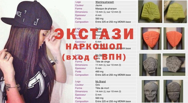 хмурый Магас