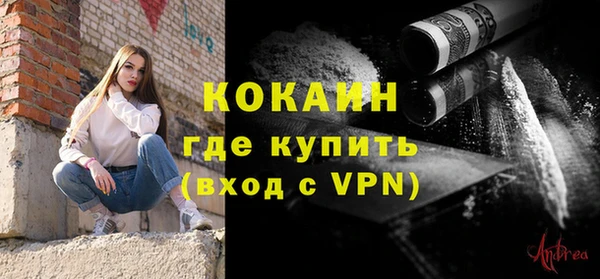 хмурый Магас