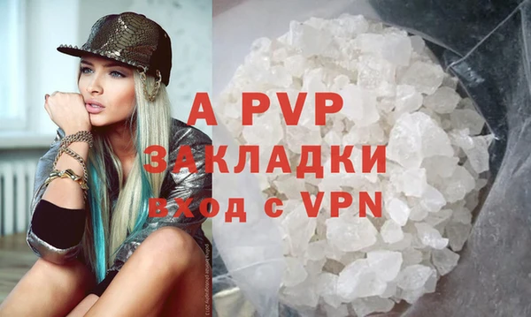 хмурый Магас