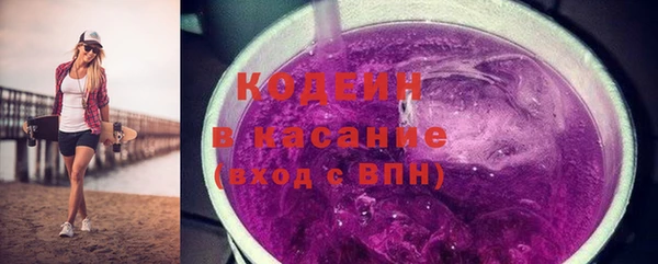 хмурый Магас