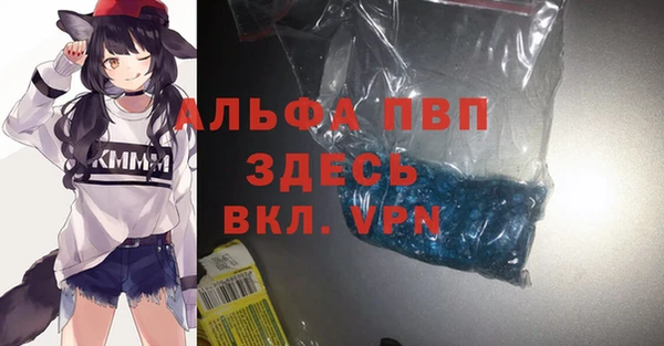 хмурый Магас