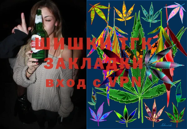 хмурый Магас