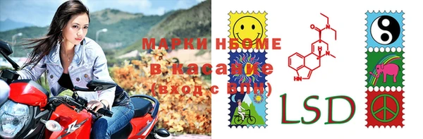 хмурый Магас