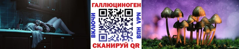 Псилоцибиновые грибы прущие грибы  Нюрба 